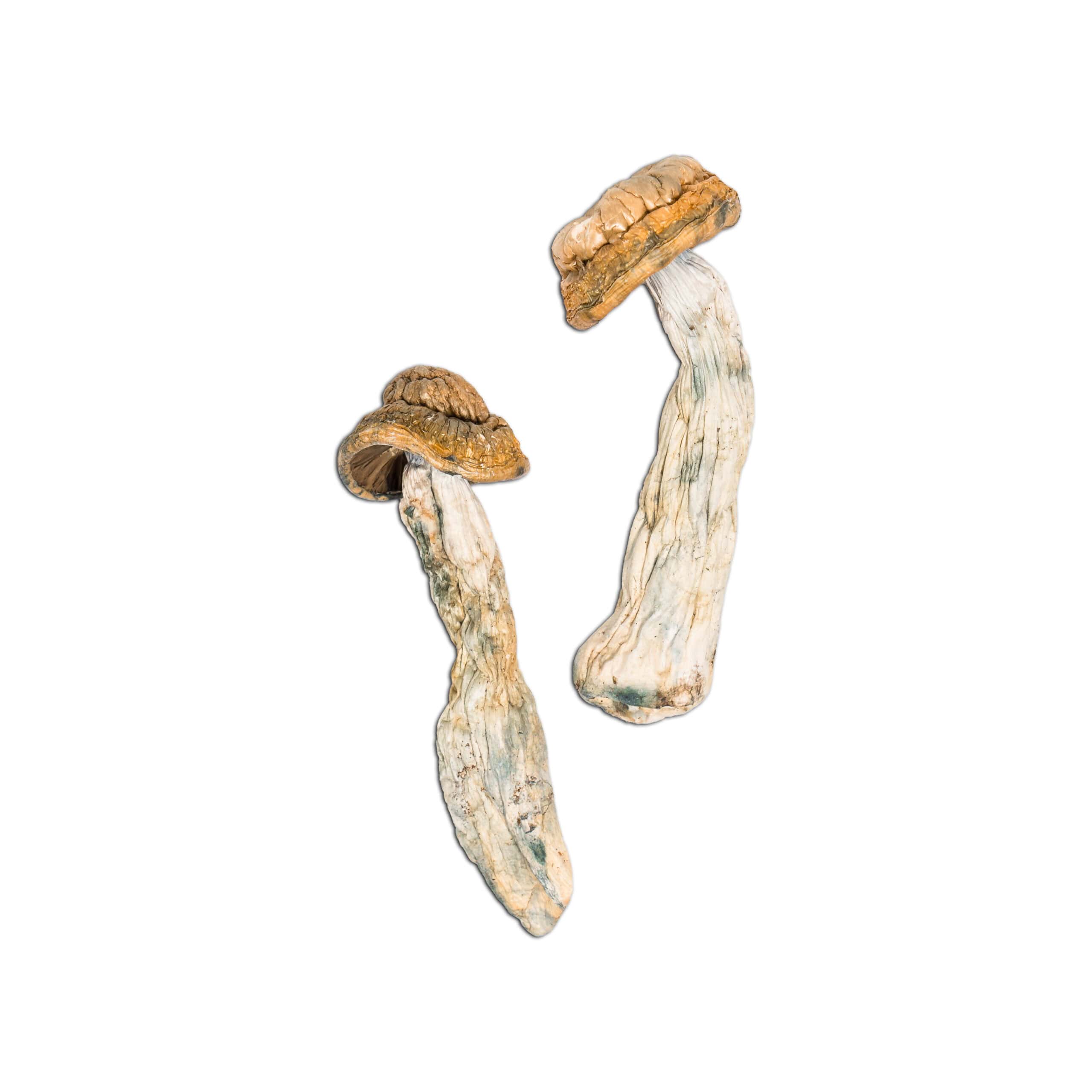 Code Blue Code Blue - Image 2