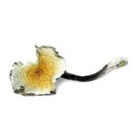 Wonderland Psilocybin Chocolate Bar (4g) Wonderland Psilocybin Chocolate Bar (4g)