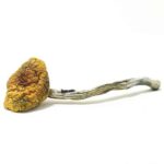 1000mg Shroom Tea – Trippy Monkey