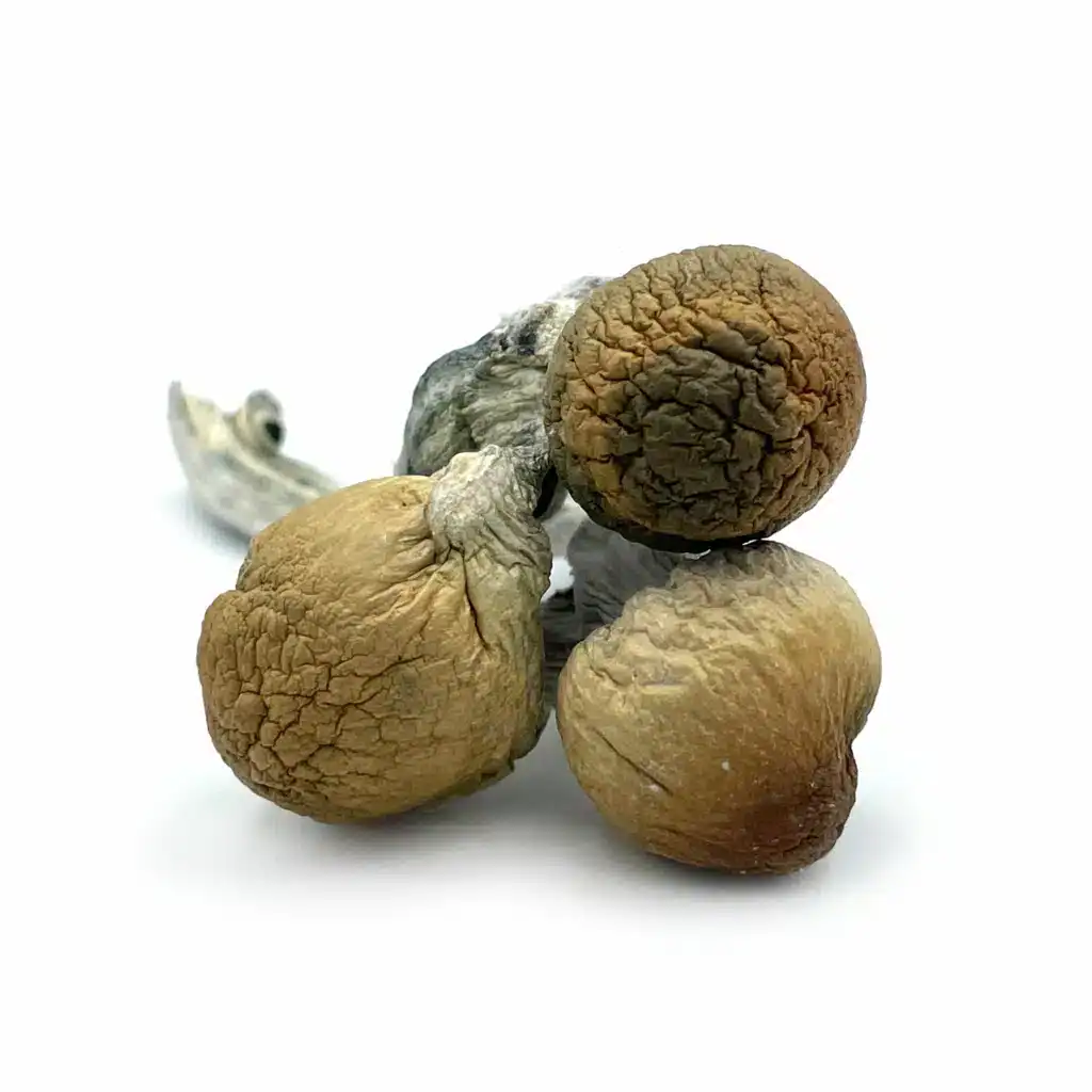 Texas Penis Envy (28g) Texas Penis Envy (28g) - Image 4