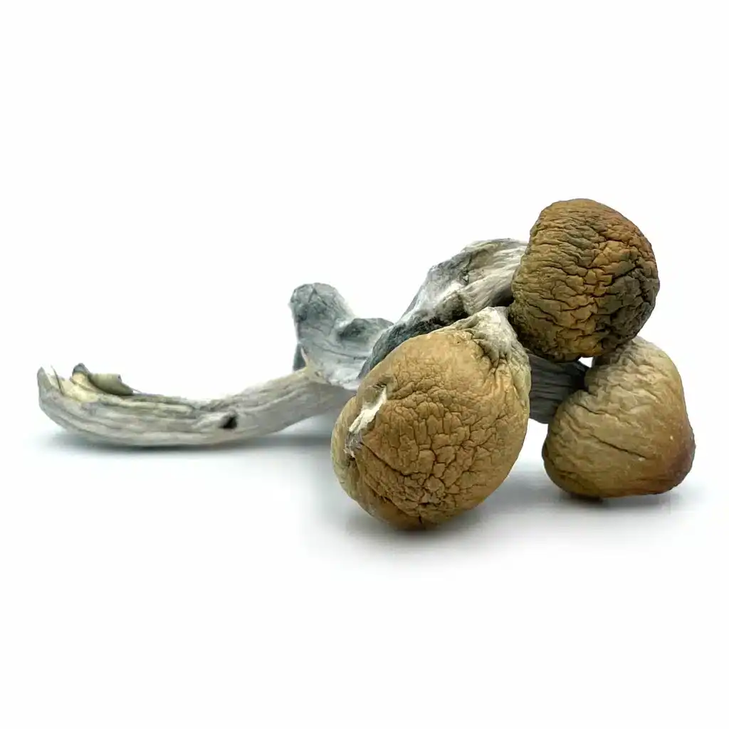 Texas Penis Envy (28g) Texas Penis Envy (28g) - Image 3