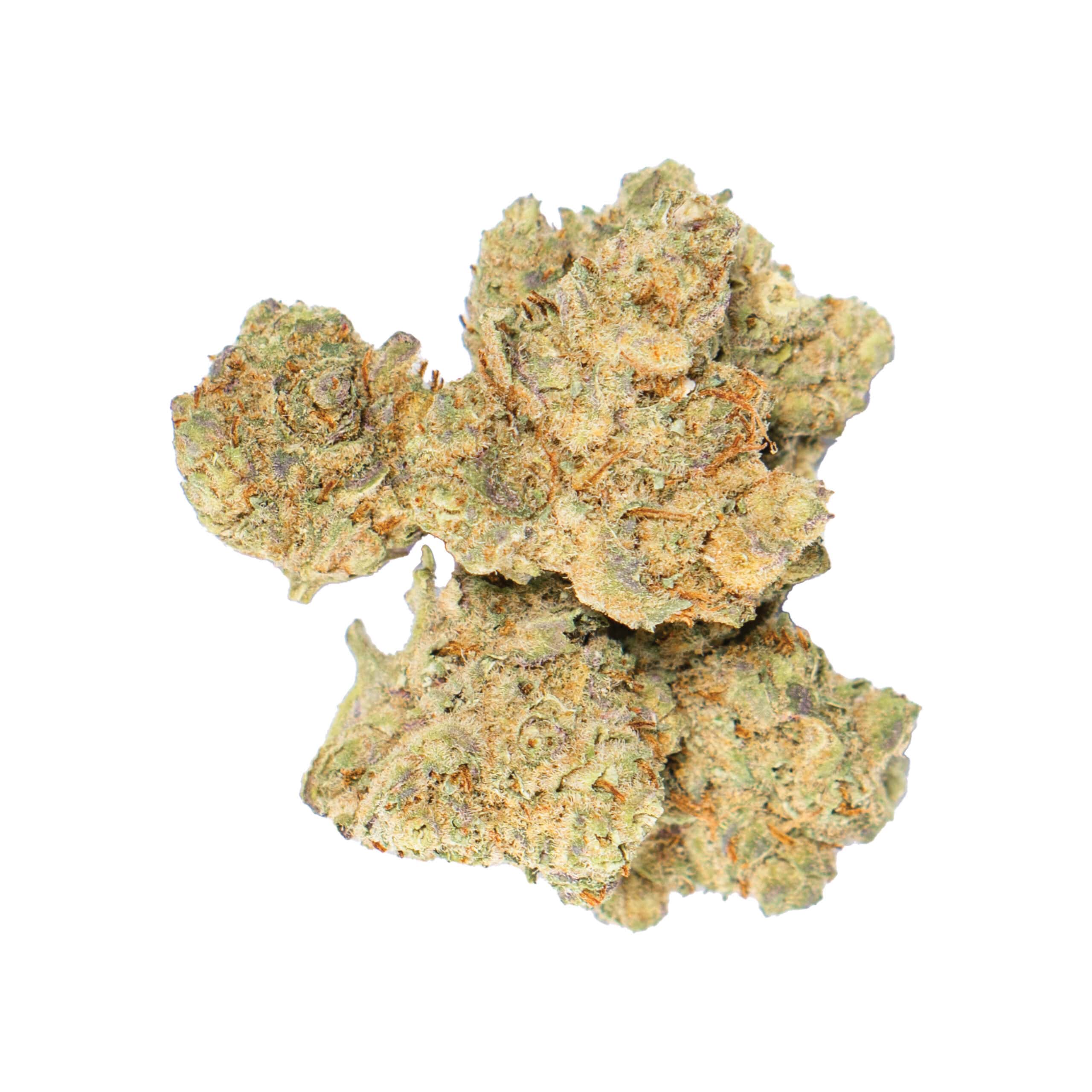 ICE LATTE ICE LATTE - Image 2